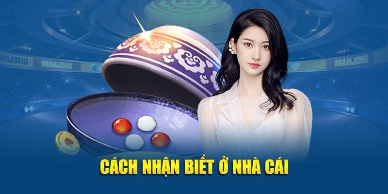 Xóc Đĩa Bịp - Mánh Khóe Hoạt Động Tinh Vi Để Móc Túi Tiền Của Bạn 6 Cách nhận biết nhà cái có hành vi gian lận, dùng phần mềm can thiệp