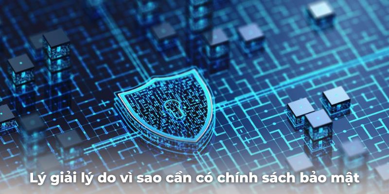 Chính Sách Bảo Mật 5 Lý giải lý do vì sao cần có chính sách bảo mật tại nhà cái BK8